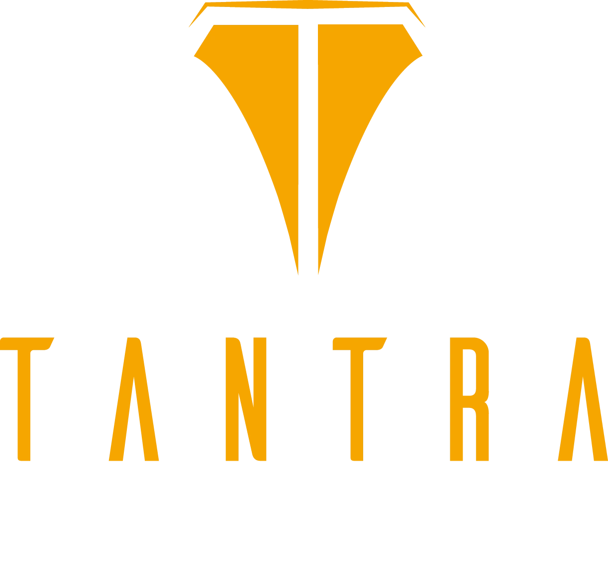 Tantra Overseas Logo